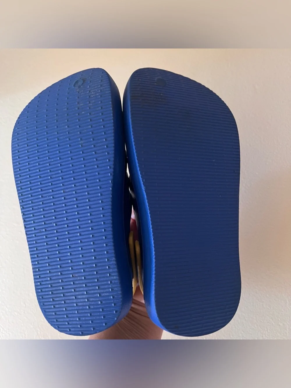 Havaianas clog sandals